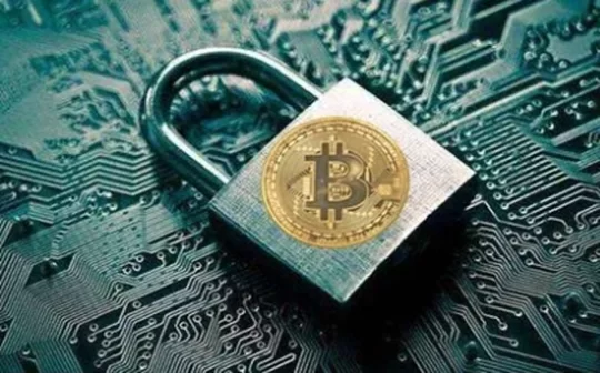 研究显示：年轻投资者在加密货币市场中的风险意识不足